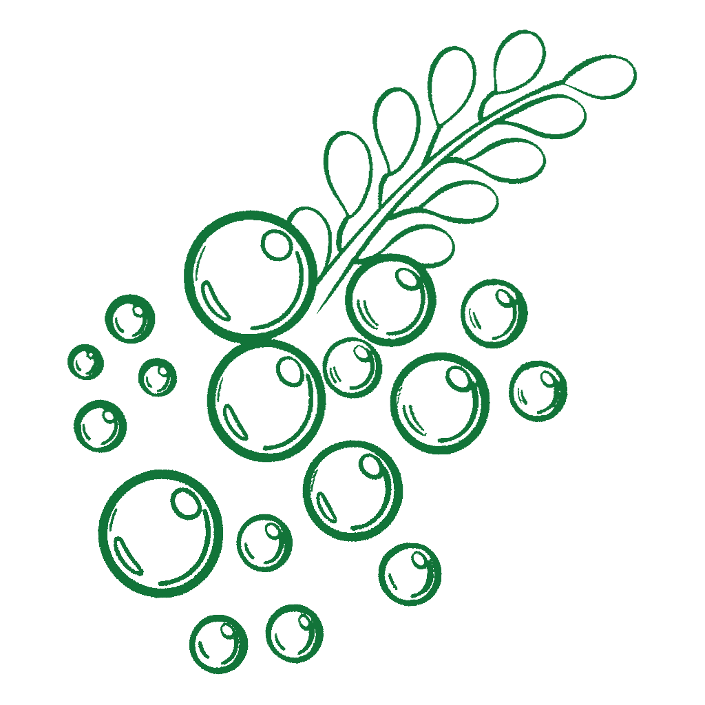 bubbles icon (1)