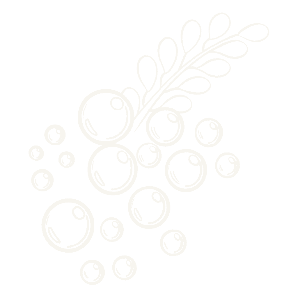 bubbles icon white